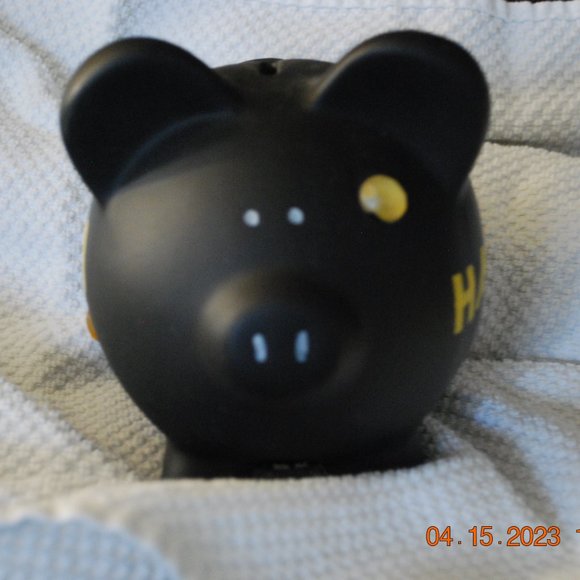 University of Iowa Piggy Bank - Picture 3 of 4